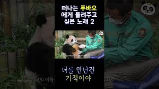 PandaTV 떠나는 푸바오를 위해 만든 노래 너를 만난건 푸바오 아이바오 루이바오 [upl. by Entwistle]