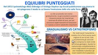 LE CATASTROFI ACCELLERANO LEVOLUZIONE [upl. by Arraes]