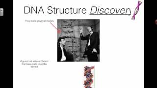 Elucidation of DNA Structure 2016 IB Biology [upl. by Omari450]