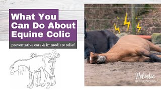 Equine Colic  Horses with Colic Symptoms  What you can do [upl. by Aelat]