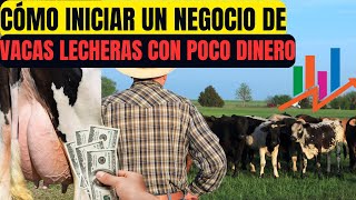 Cómo Iniciar un Negocio de Vacas Lecheras con Poco Dinero [upl. by Naujuj268]