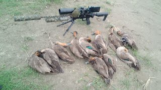 wild duck hunting super sulit my bonus pang challenge 143m duck target [upl. by Ligetti900]