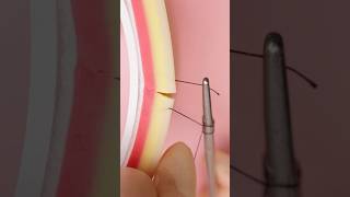 Kuwait Stitch VS Simple Interrupted Suture suturing vet medicine surgeon surgeonlife sewing [upl. by Adnawuj]