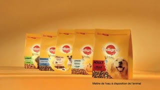 Une nutrition professionnelle pour tous les chiens  PEDIGREE® [upl. by Melloney]