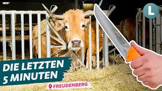 Schlachten direkt am Hof Das Schlachtmobil  WDR Lokalzeit LandSchafft [upl. by Eiahpets]