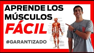 💪 MUSCULOS del CUERPO HUMANO anatomia ❗❗ FÁCIL Musculos de la pierna [upl. by Zulema198]