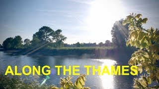 Along the Thames Path from Putney to Richmond 4K [upl. by Urion464]