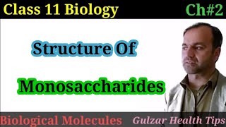 Structure of monosaccharides  Classification of Carbohydrates class 11 [upl. by Yerfdog]