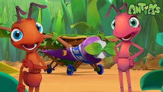 Ants ready to depart 🔴NEW EPISODE🔴 Funny Cartoons  Funny Videos for kids  ANTIKS 🐜🌿 [upl. by Kit]