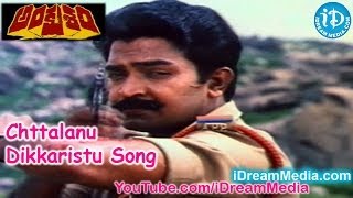 Ankusham Movie Songs  Chttalanu Dikkaristu Song  Rajasekhar  Jeevitha [upl. by Carman]