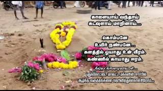 Health Minister in Komban Jallikattu Kaalai Memorial [upl. by Shah945]