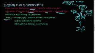 74P  Immediate Type I Hypersensitivity overview  basic description [upl. by Susanna]