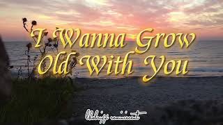 🎶I Wanna Grow Old With You Lyrics  Westlife  90s Hits🔊 [upl. by Swift]