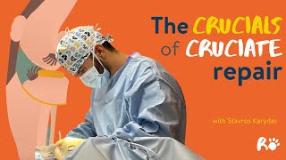 The Crucials of Cruciate Repair  Orthopaedic Surgery CPD  TPLOCruciate Ligament Rupture [upl. by Ttihw]