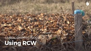 Using rcw ramial chipped wood [upl. by Nylireg]