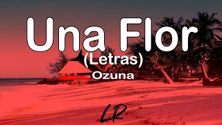 Ozuna  Una Flor Letras  Lyrics [upl. by Murtha]