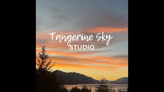 Welcome to Tangerine Sky Studio [upl. by Akiehs748]