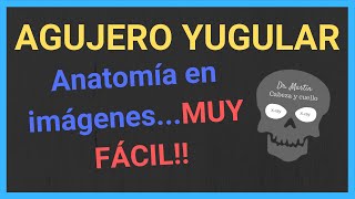 AGUJERO 🕳 YUGULAR TAC y RM anatomía [upl. by Leigha]