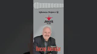 Recep Alemdar  Ağlamaya Değmez ki short recepalemdar arabesk [upl. by Anoek]