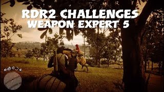 RDR2  Weapon Expert 5 Easy Guide [upl. by Ecyor]