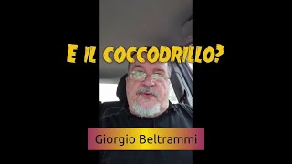 E il coccodrillo come fa [upl. by Craig]