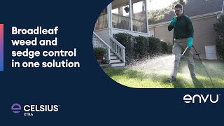 Celsius® XTRA Herbicide — Broadleaf Weed and Sedge Control in One Solution [upl. by Umeh]