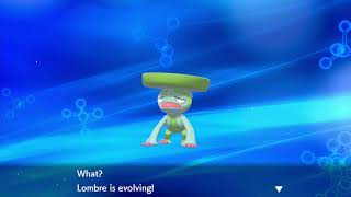 pokemon shield evolving lotad into lombre then into ludicolo [upl. by Lennaj]