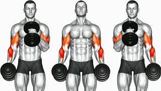 Biceps Workout 6 Best Exercises to build Strong Bicep [upl. by Crespi93]