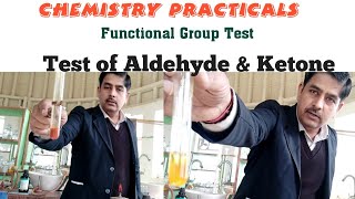 Test of Functional GroupAldehyde and KetoneChemistry practicalTerm 2 Practicals [upl. by Lucina]