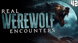 42 WEREWOLF amp DOGMAN Encounters COMPILATION [upl. by Adnauqaj59]