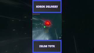 Korok Delivery  Eventide Island  Zelda Tears of the Kingdom [upl. by Musetta]