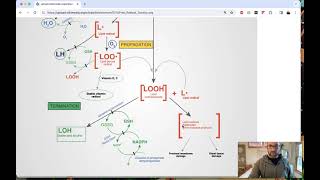 Does oxidative stress explain your symptoms better than your diagnosis [upl. by Toback536]