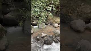 Catarata Uvita waterfall uvita costarica [upl. by Afton]