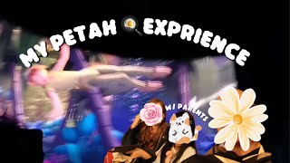 VALOG  mah petah pan experience [upl. by Lettie]