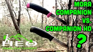 Mora Companion VS Companion HD [upl. by Eveivenej748]