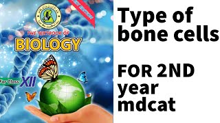 Bone cell Osteoblast l Osteocytes l Osteoclast l Sindh text Braod Book l for 2nd year and Mdcat [upl. by Lucien187]