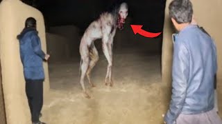 ACTUAL VIDEO NG TIKBALANG NA ASWANG NAKAKATAKOT [upl. by Arbuckle821]