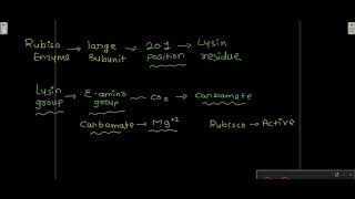 calvin cycle carbon reduction c3 cycle glyceraldehyde 3 phosphate carboxylation reduction [upl. by Buchanan412]