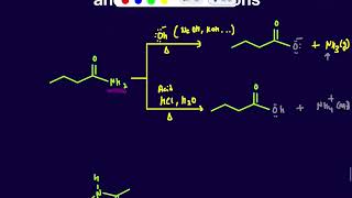 Hydrolysis of Amide under acidic and Basic Conditions [upl. by Edithe498]