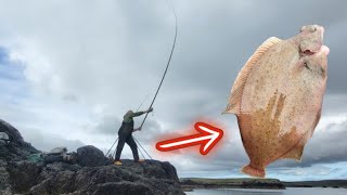 Remote Rock Fishing Shetlands far north  Flattie success [upl. by Nalyd370]