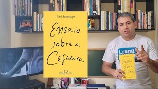 Ensaio sobre a cegueira  José Saramago  Resumo  Análise da Obra [upl. by Cramer670]