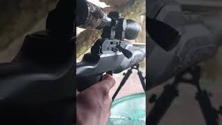 Walther Rotex RM8 vs bucket of water shooting airgun targets guns subscribe shorts [upl. by Ardni851]