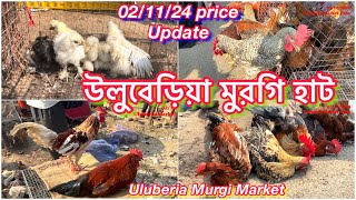 Uluberia Murgi Market  Uluberia Pet Market 021124 price Update Today cheapestprice chicken [upl. by Iram276]