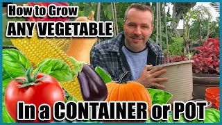 How to Grow Vegetables in Containers  Container Gardening  Self Sufficient Sunday [upl. by Nibaj]