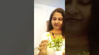 Nammale kelkunavarod samsarika malayalam malayalammotivationalquotes sad love [upl. by Nadnal]