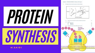 PROTIEN SYNTHESIS EXPLAINED DNA CODE OF LIFE GRADE 12 LIFE SCIENCES BY MSAIDI THUNDEREDUC [upl. by Ydoow]