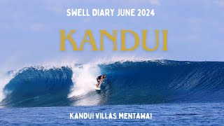 MENTAWAI SWELL DIARY JUNE 2024 KANDUI [upl. by Sreip]