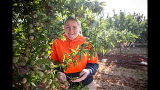 Bee Friendly Farming Case Study  Century Orchards [upl. by Nolla]