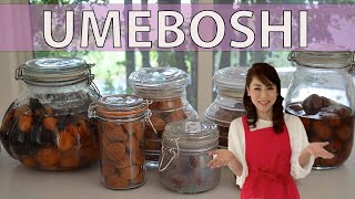 UMEBOSHI 2021  Part 2 Sundry and Aging  3 ways to make Umeboshi EP285 [upl. by Laekim]