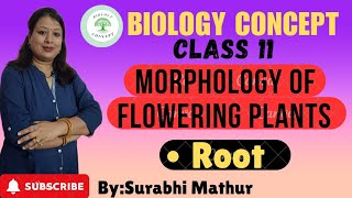 Class 11 Biology ।Ch5 Morphology of flowering plants। The Root। Modifications of Root। [upl. by Swift379]